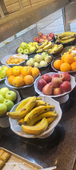 Gastro Seashell Vega