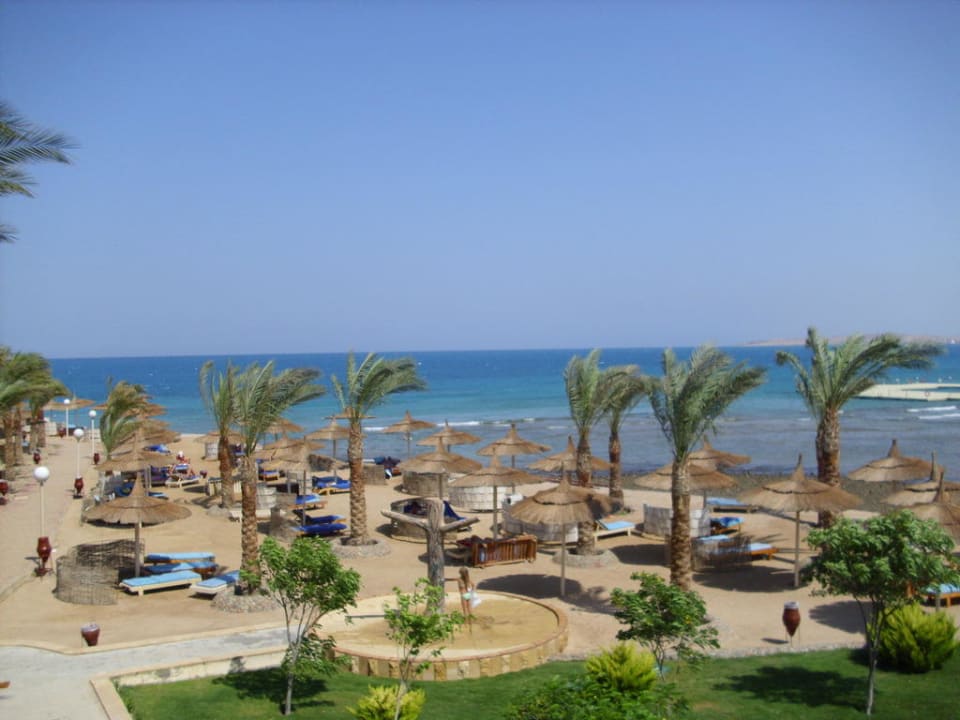 Пляж отеля Beach Albatros Resort