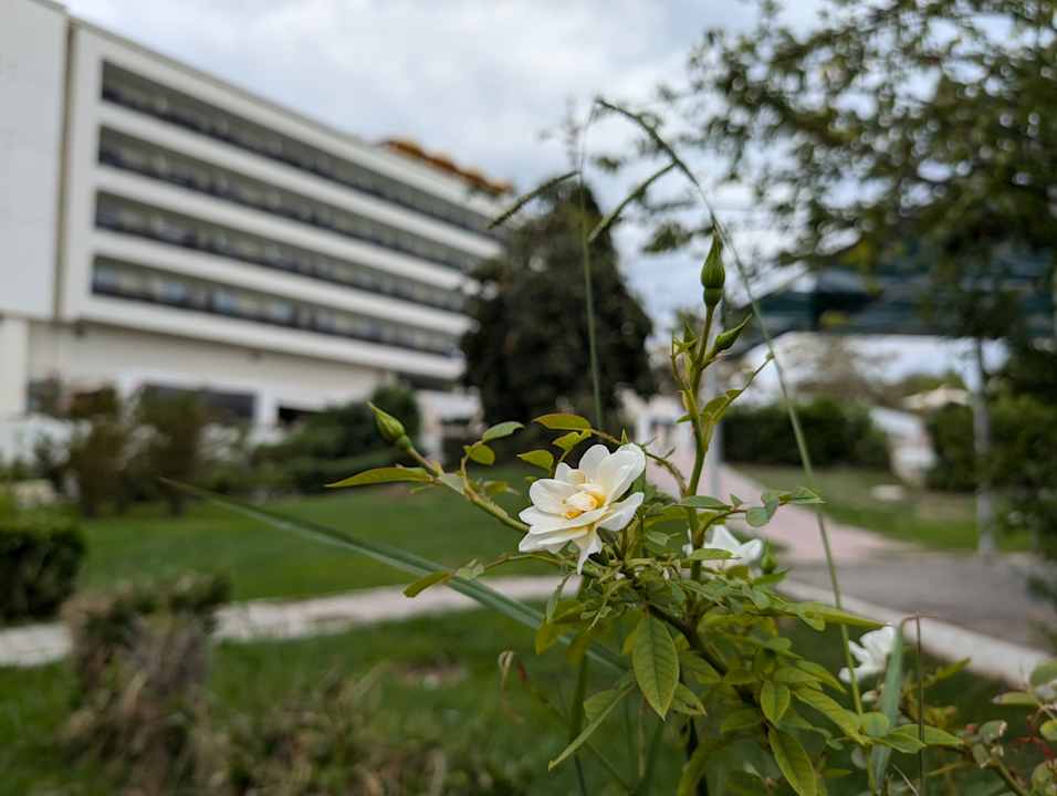 Außenansicht Olympian Bay Grand Resort