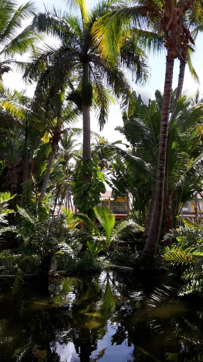 Gartenanlage Hotel Grand Palladium Palace Resort, Spa & Casino