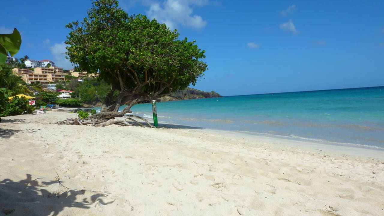 Hotelstrand Hotel The Flamboyant