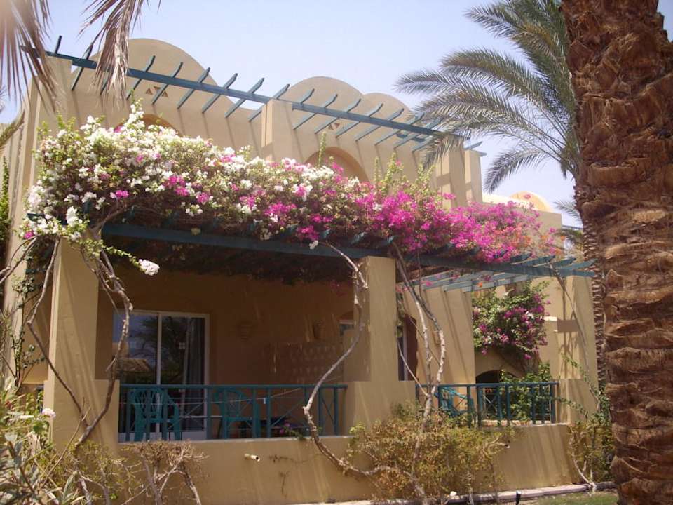 Auf dem Weg zum Strand Jaz Makadi Gardens - TUI BLUE Makadi Gardens - Adults Friendly 16 Years Plus