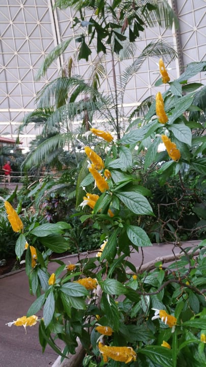 Regenwald Tropical Islands Resort