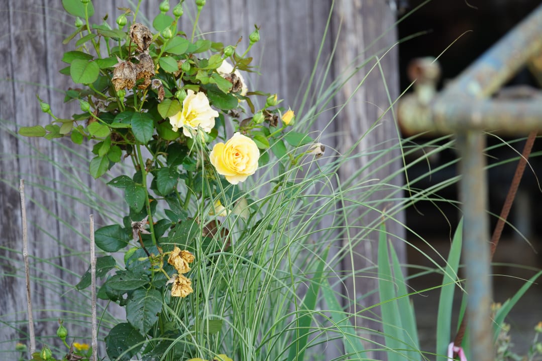 Sonstiges Ferienhof Schmid