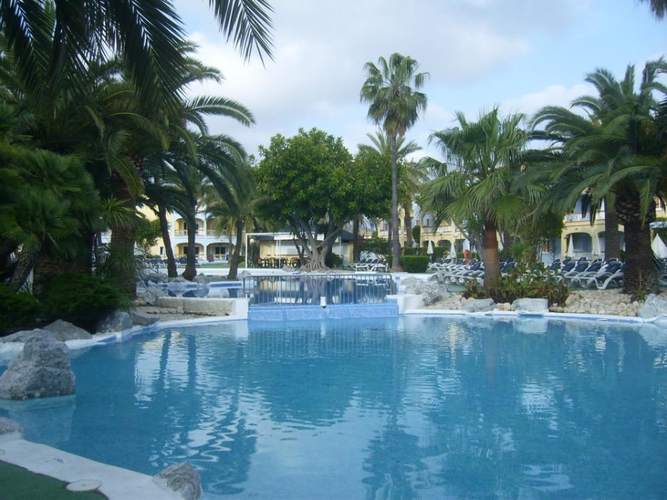 Pool Alcudia Garden Aparthotel