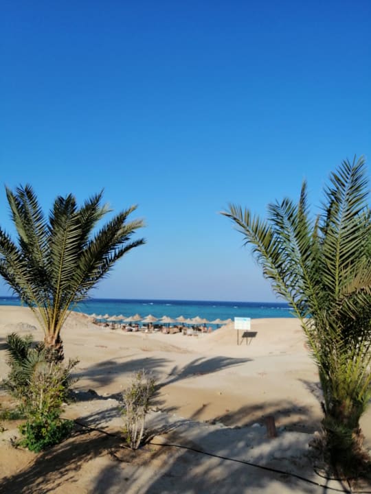 Strand Three Corners Fayrouz Plaza Beach Resort