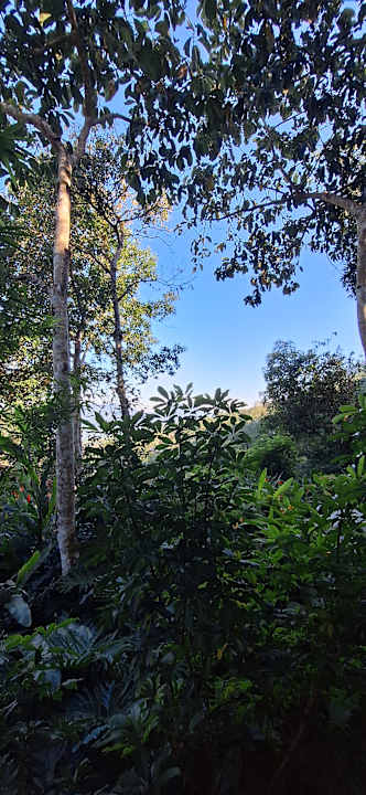 Gartenanlage Pu Luong Eco Garden