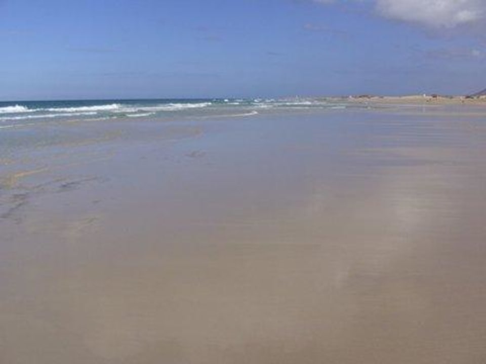 Strand bei Ebbe Hotel Riu Oliva Beach Resort