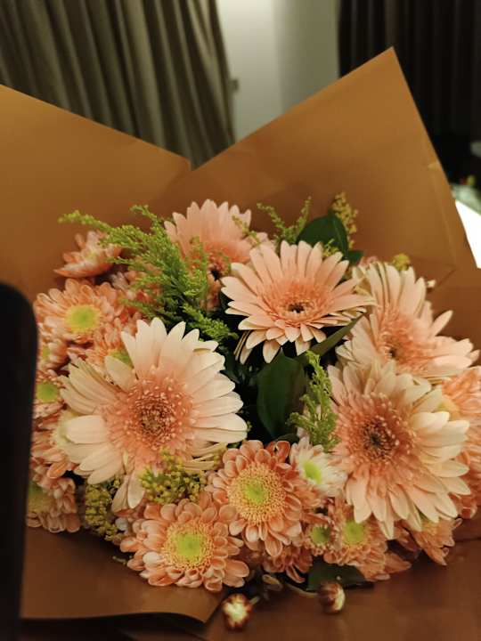 Sonstiges Luna Vista Belek