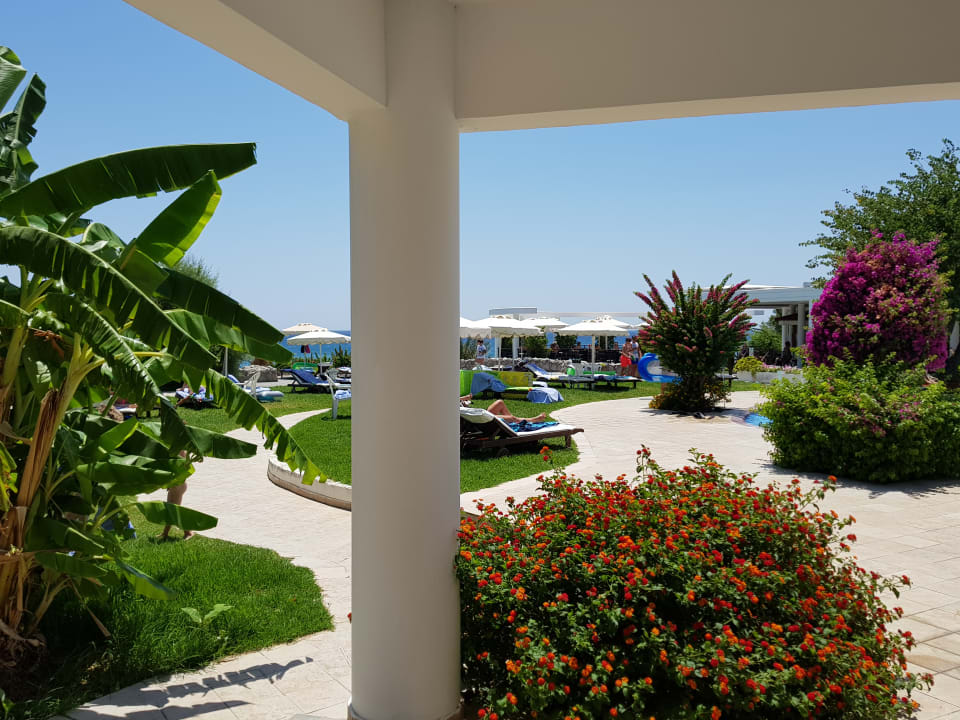 Gartenanlage Hotel Calypso Beach