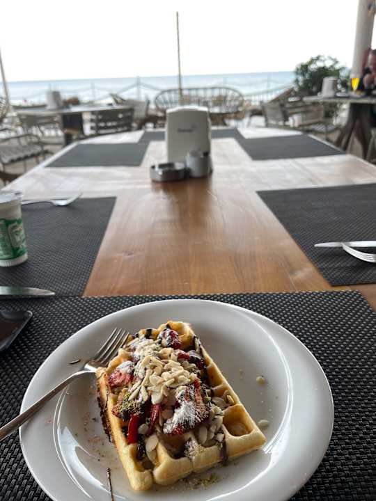 Gastro Seashell Vega