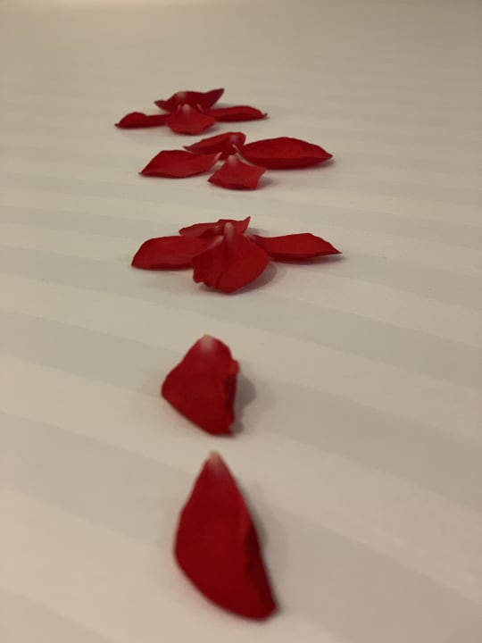 Zimmer Fairfield by Marriott Bengaluru Outer Ring Road