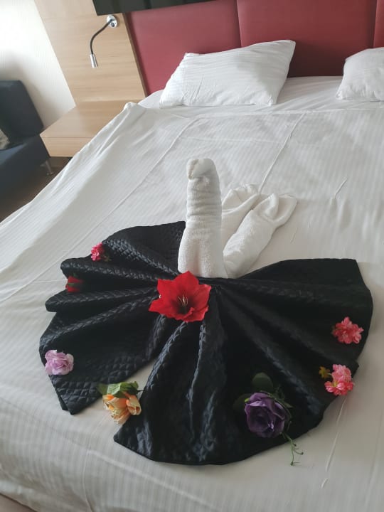 Zimmer Hotel Delphin Imperial