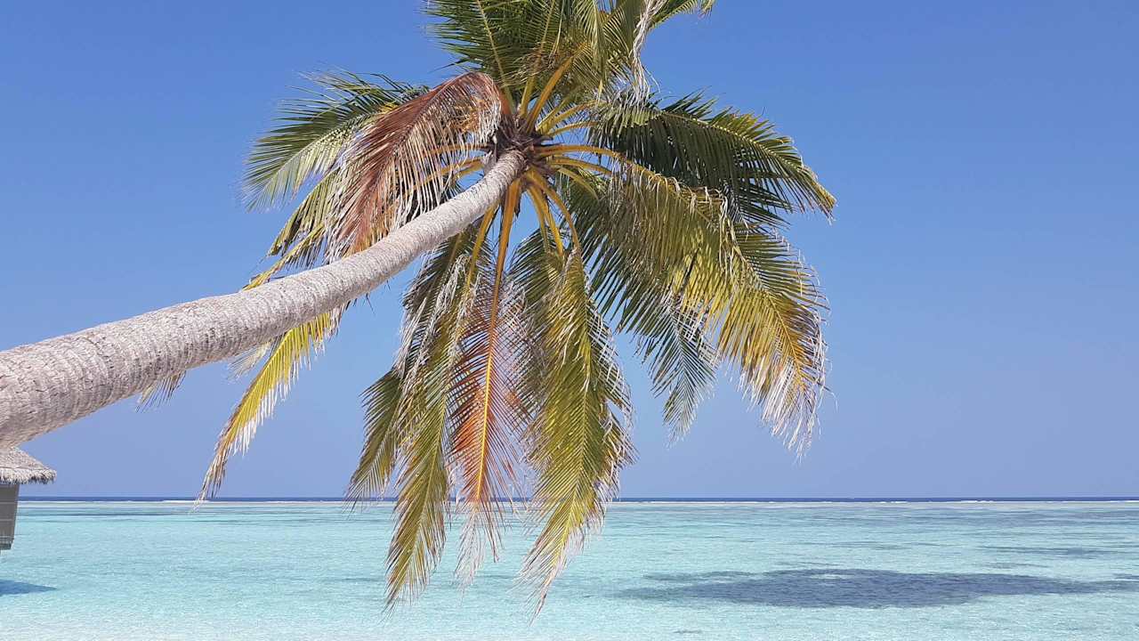 Traumstrände Meeru Maldives Resort Island