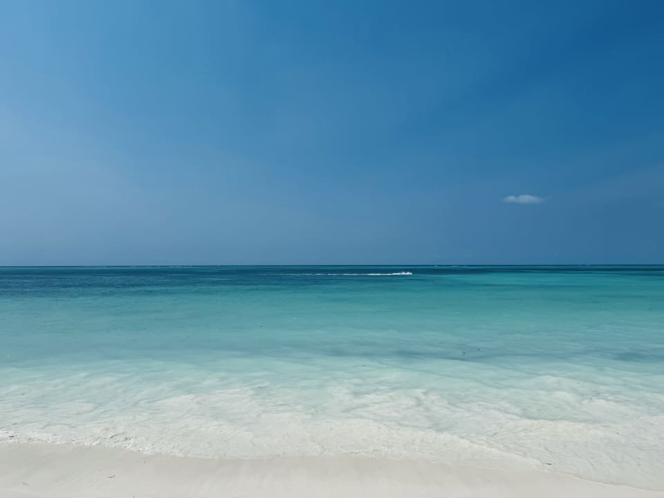Ausblick TUI Blue Bahari Zanzibar