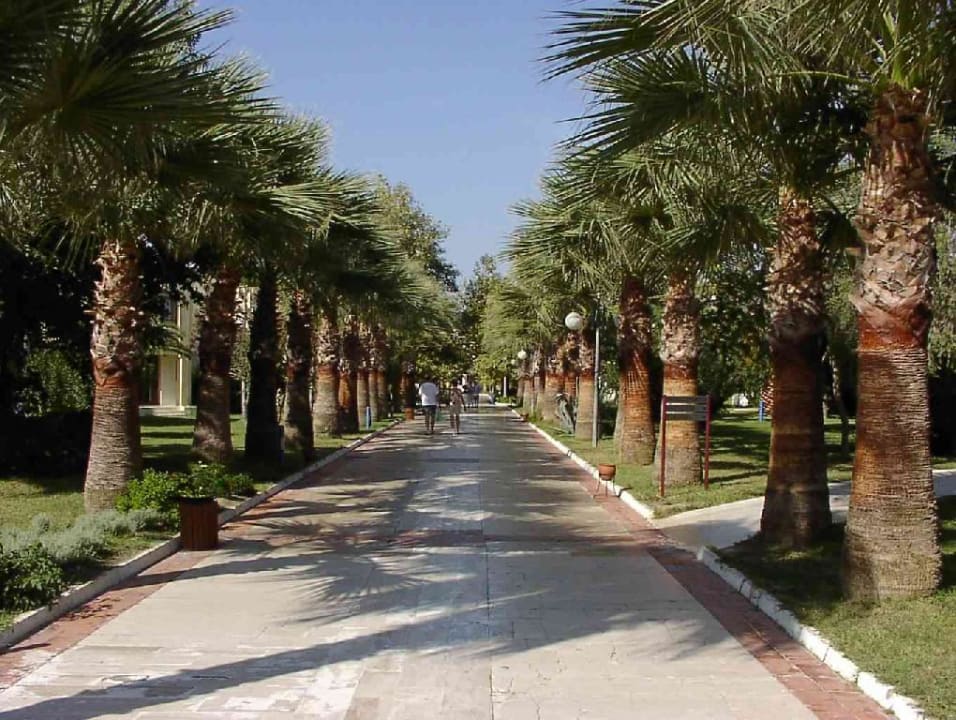 petro club 2003 VONRESORT Golden Beach