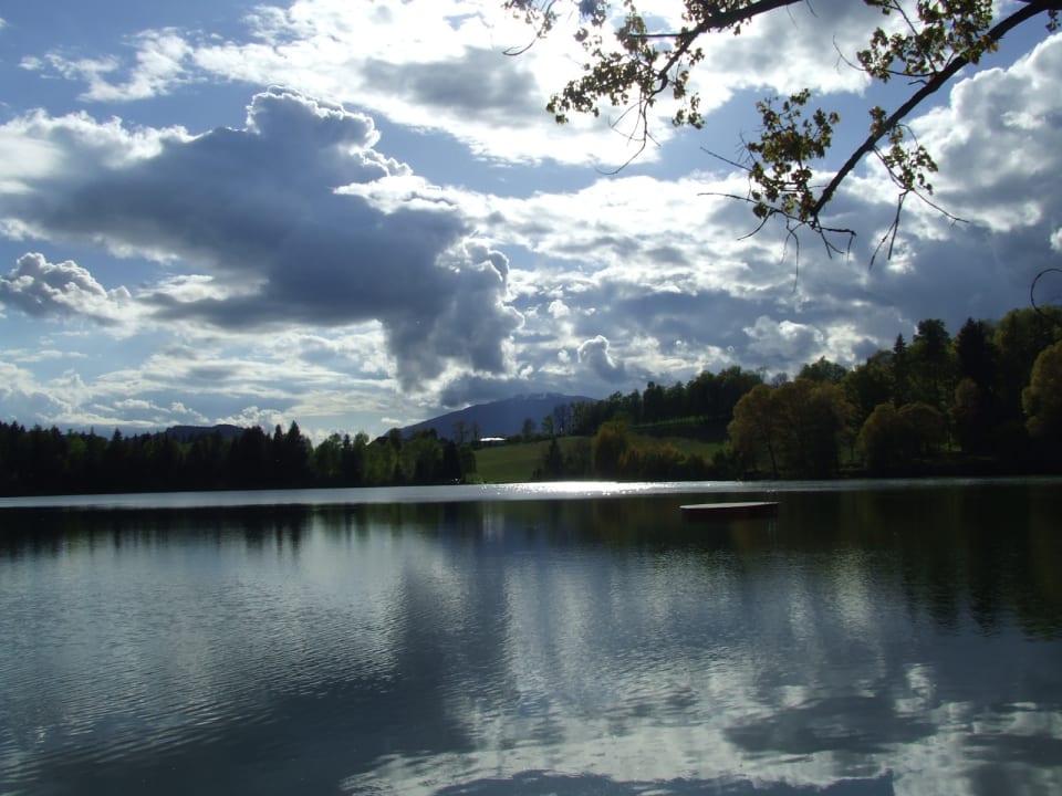 Ausblick Feriendorf am Maltschacher See