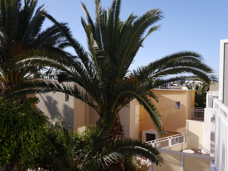 Blick vom Zimmer  Nefeli Hotel Rethymno