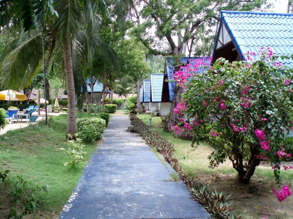 Anlage Hotel Coral Island Resort