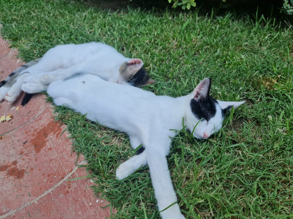 Sonstiges Hotel SU & Aqualand