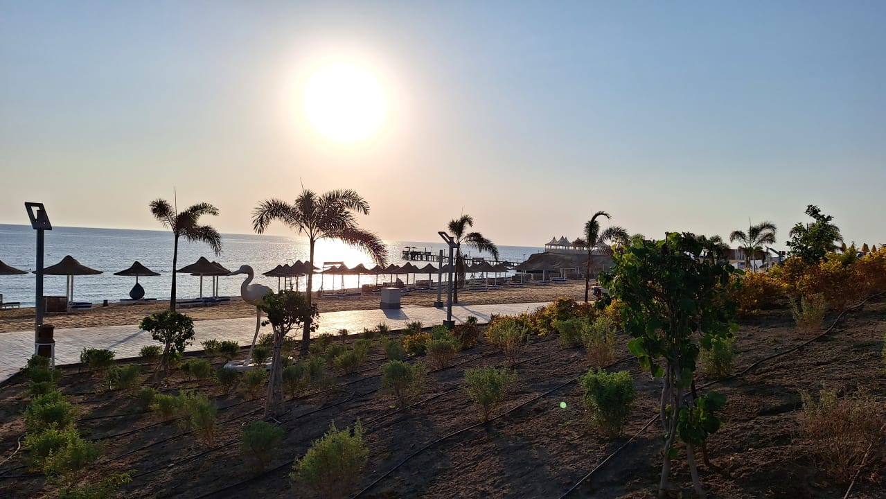 Strand Pickalbatros Vita Resort - Portofino Marsa Alam