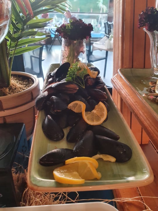 Gastro Seaden Quality Resort & Spa