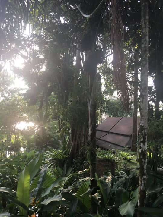 Gartenanlage Khao Lak Merlin Resort