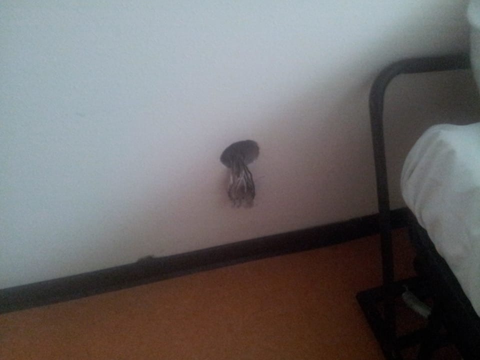 Strom Hotel Carpe Diem