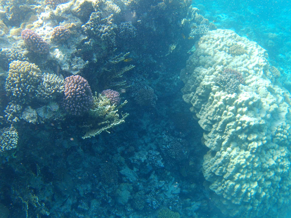 Strand Hotel Sheraton Soma Bay Resort