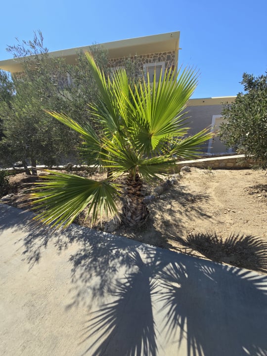 Außenansicht Hotel Kouros Palace