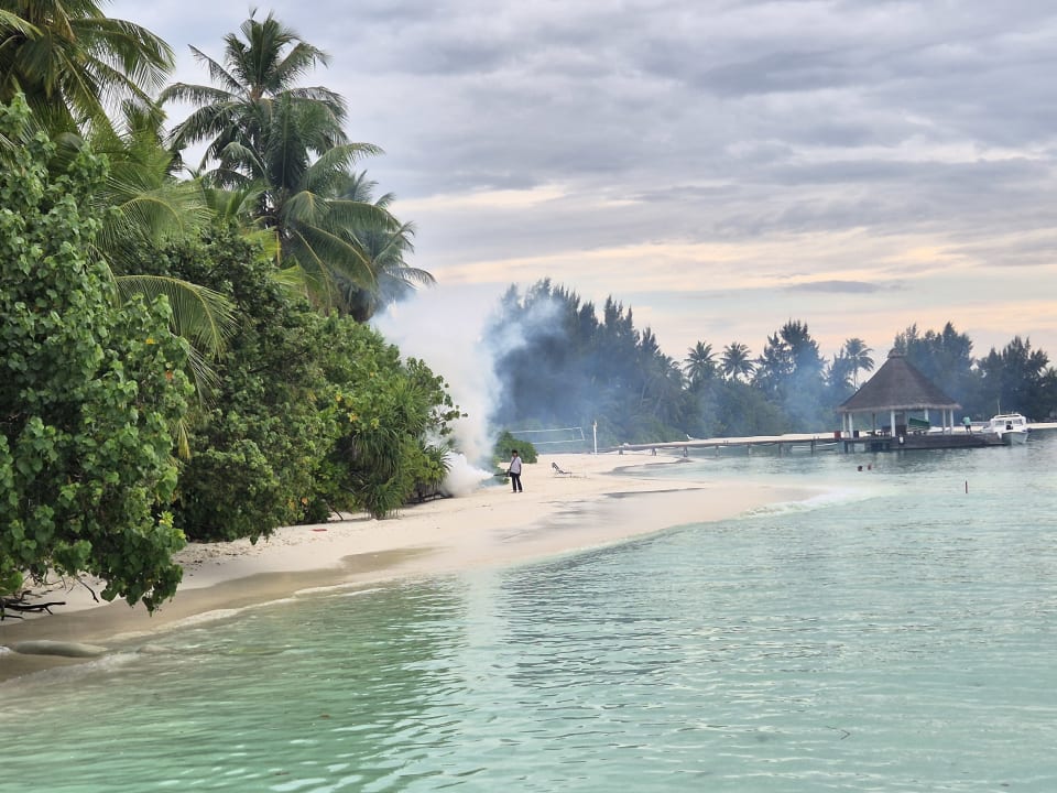 Strand Safari Island Maldives