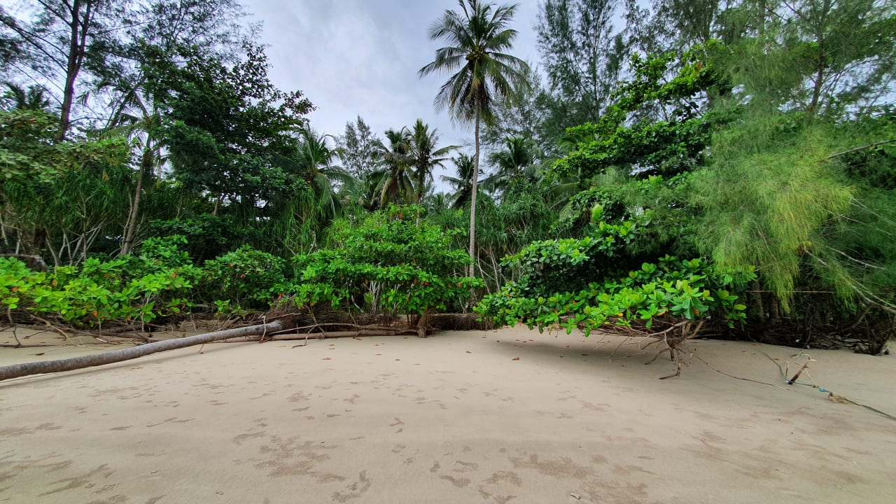 Gartenanlage The Sands Khao Lak by Katathani