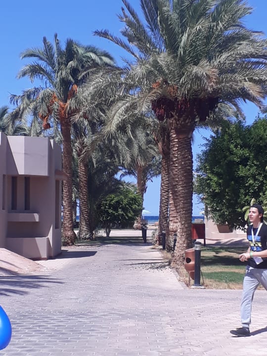 Gartenanlage Pharaoh Azur Resort