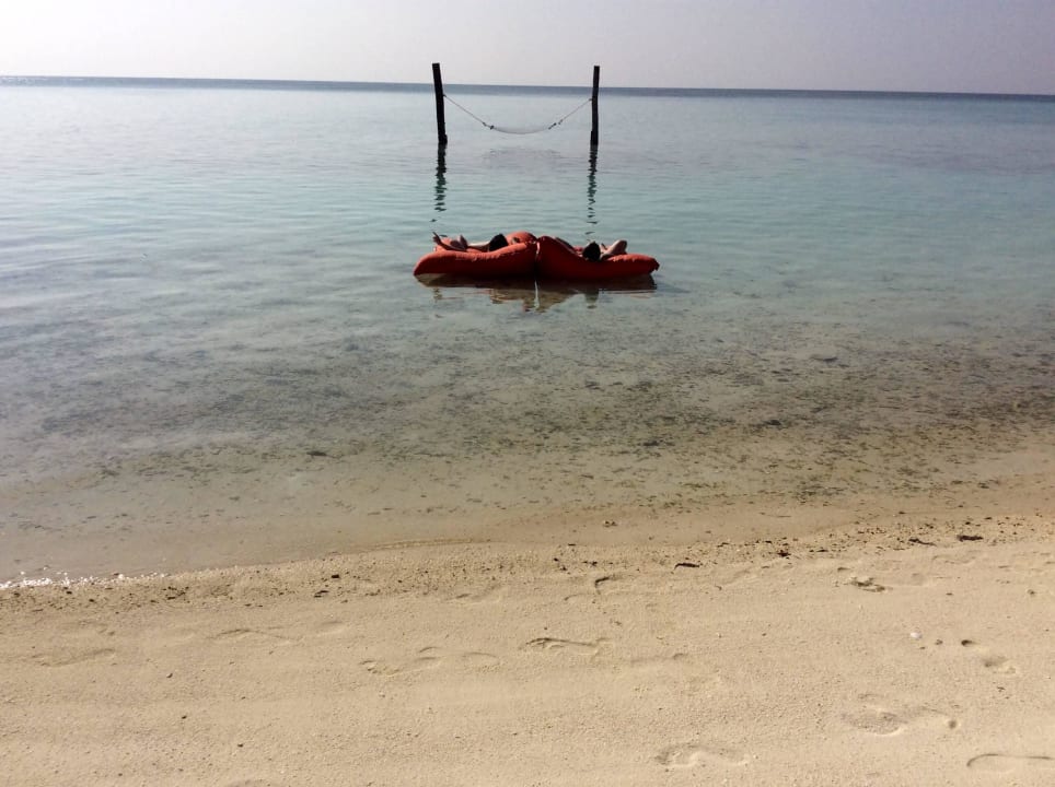 Einfach treiben lassen...... Summer Island Maldives