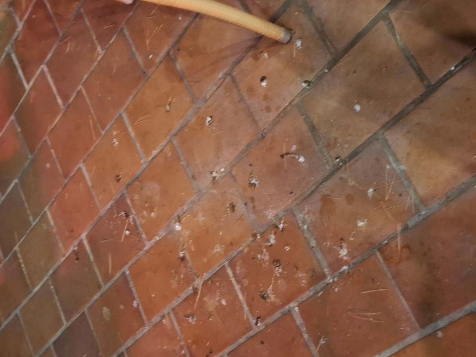 Pool Hotel & Spa S'Entrador Playa