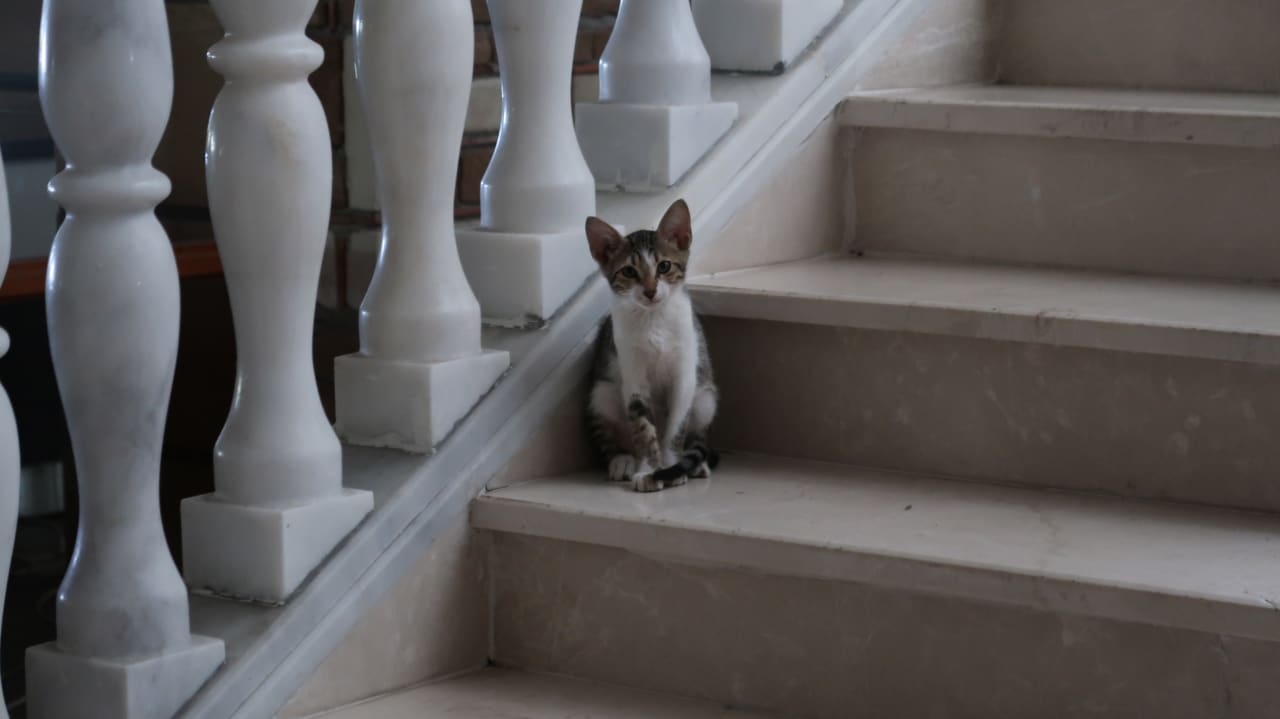 Sonstiges Hotel Defne Garden