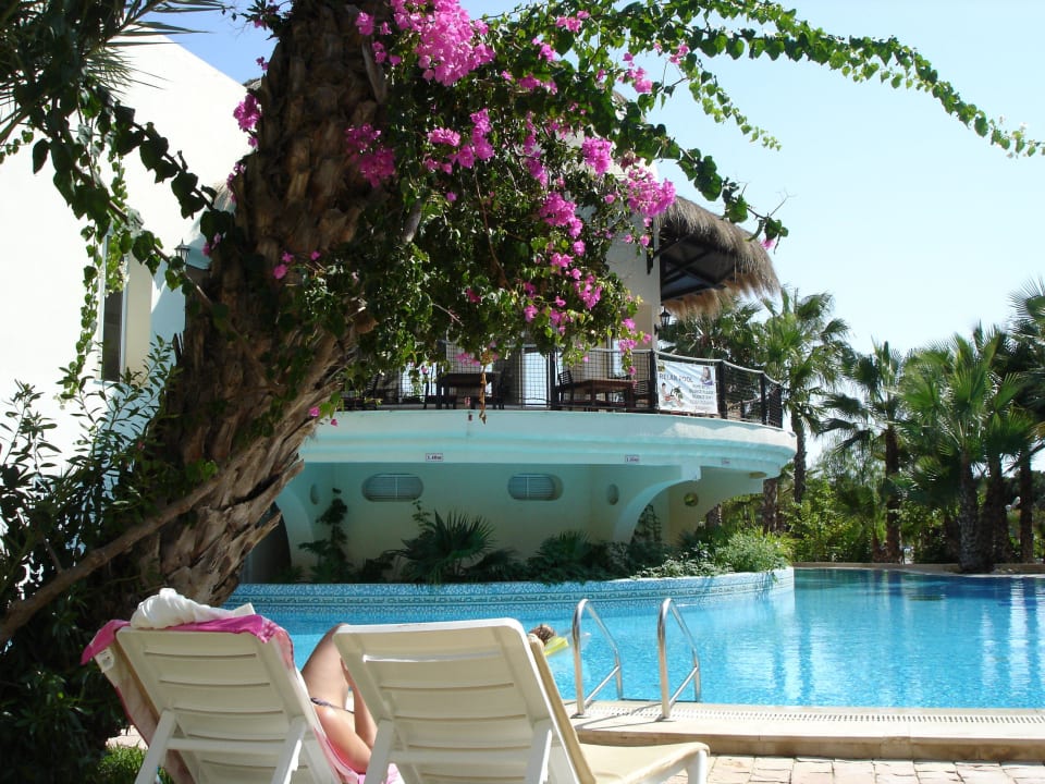 Relaxpool  TUI MAGIC LIFE Africana