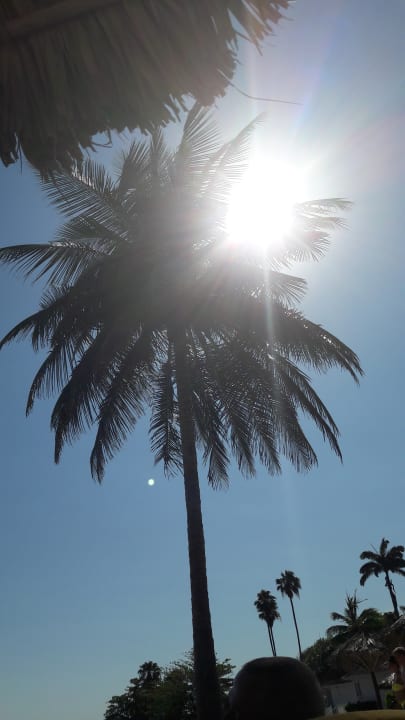 Gartenanlage Grand Muthu Club Caribbean Runaway Bay