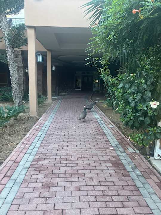 Außenansicht Seaden Sea World Resort & Spa