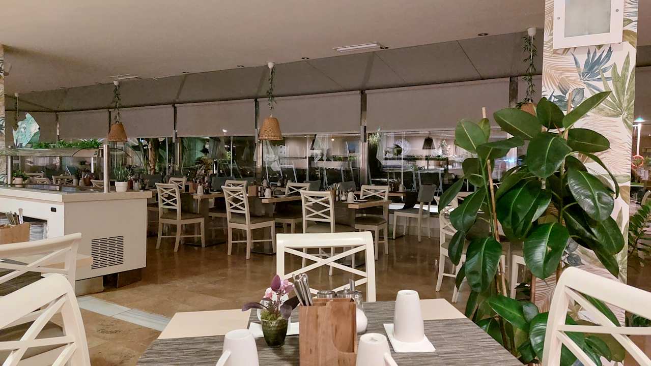 Gastro allsun App.-Hotel Orquidea Playa