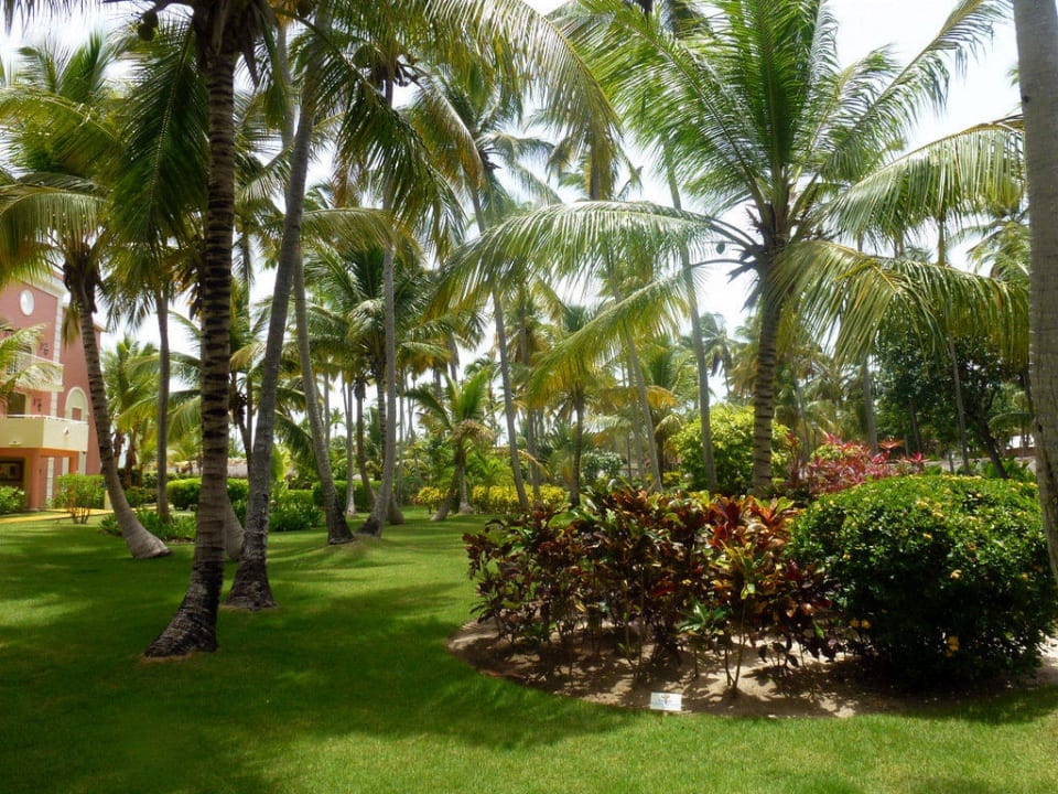 Royal TRS Turquesa Hotel - Adults only