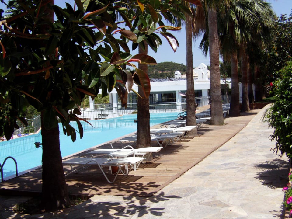 Pool im oberen Bereich Blue Dreams Resort & Spa