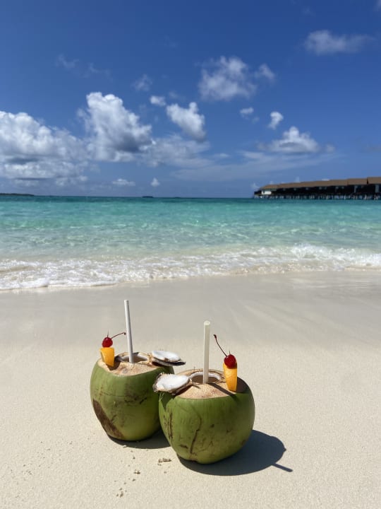 Gastro Reethi Faru Resort