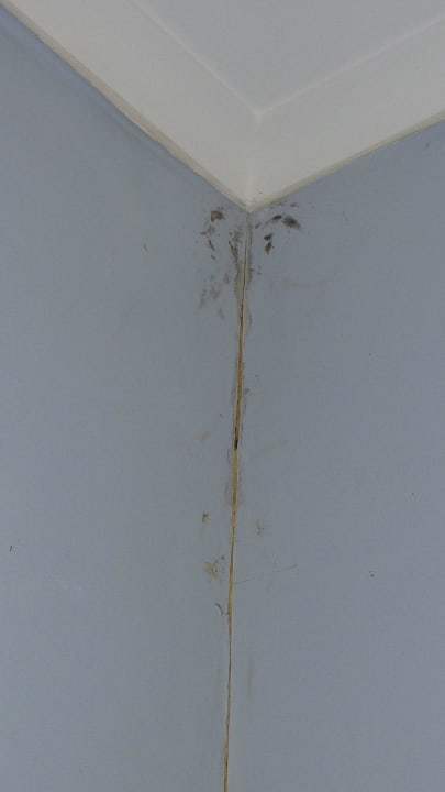 Anblick vom Bett aus Vinha d’Areia Beach Hotel