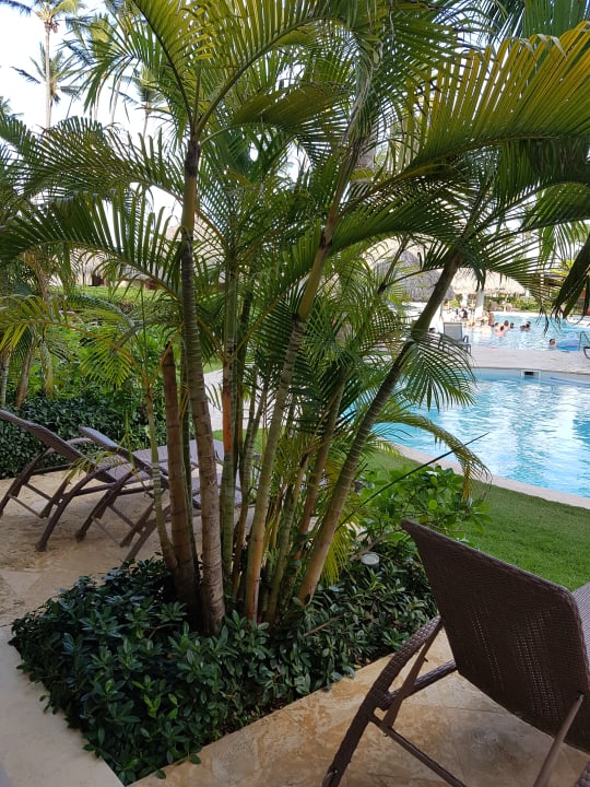 Ausblick Secrets Royal Beach Punta Cana - Adults only