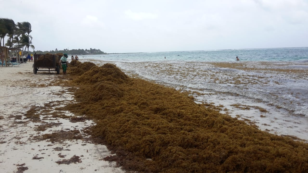 Strand Akumal Bay Beach & Wellness Resort