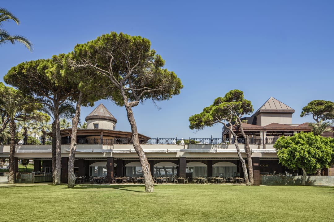 Außenansicht Papillon Ayscha