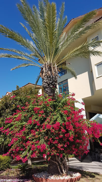 Gartenanlage Le Jardin Resort