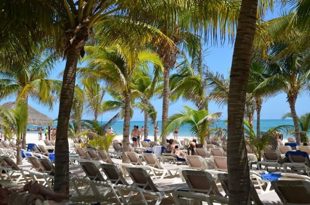 Standard-Bereich Catalonia Playa Maroma