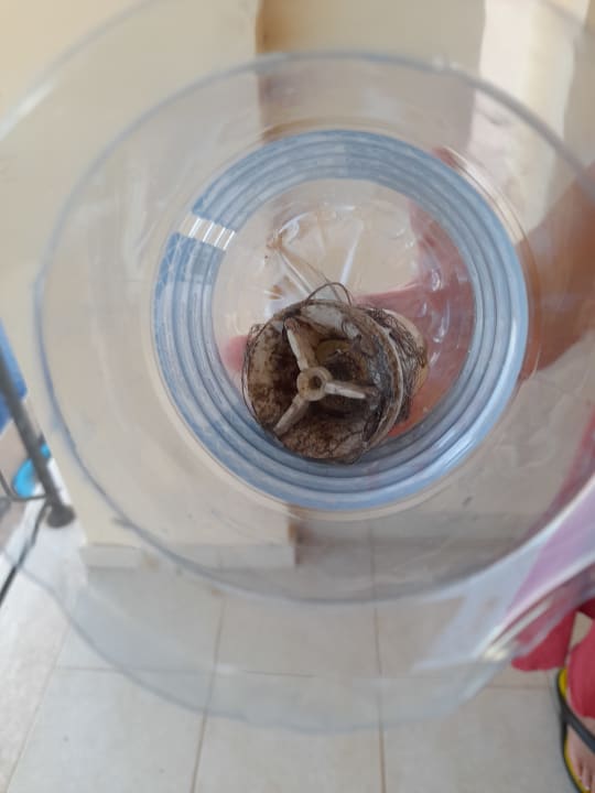 Zimmer Villa Swalletta